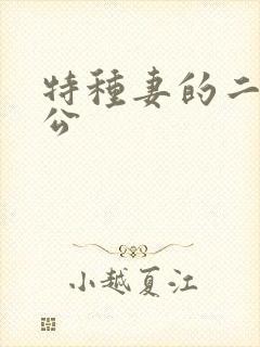 特种妻的二手老公