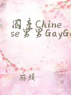 国产Chinese男男GayGayAPP