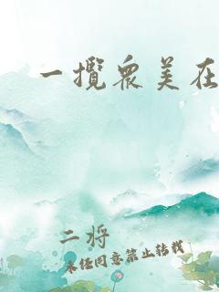 一揽众美在三国