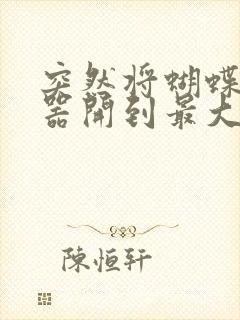 突然将蝴蝶遥控器开到最大