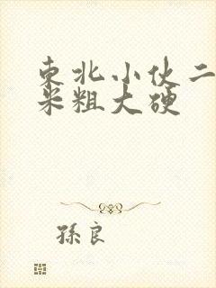 东北小伙二十厘米粗大硬