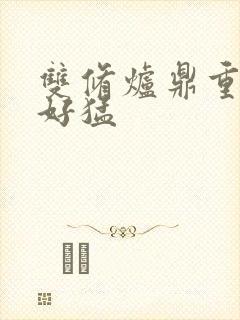 双修炉鼎重生h好猛