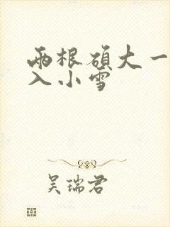 两根硕大一起挤入小雪