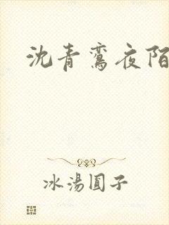 沈青鸾夜陌凌