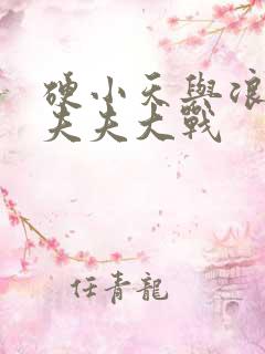 硬小天与浪小辉夫夫大战