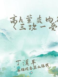 高h荤爽肉欲文〈三攻一受