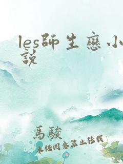 les师生恋小说