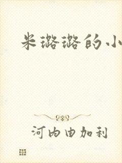 米璐璐的小说