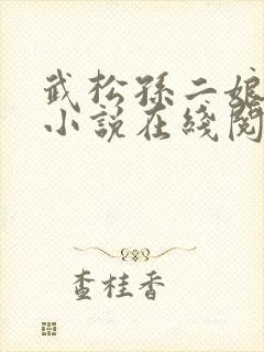 武松孙二娘云雨小说在线阅读