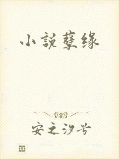 小说孽缘