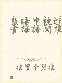 熟睡中被进了H青梅诱哄视频