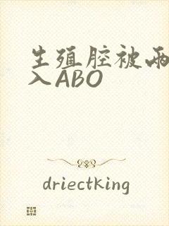 生殖腔被两根进入ABO