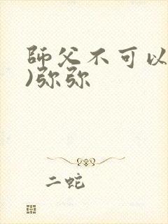 师父不可以(限)弥弥