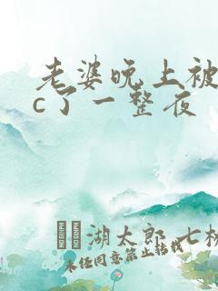 老婆晚上被躁狂c了一整夜