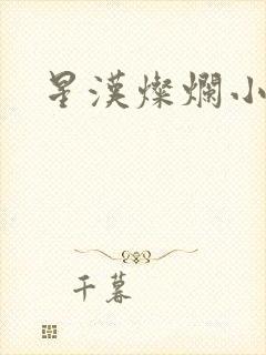 星汉灿烂小说