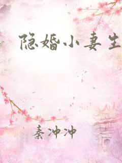 隐婚小妻生个娃