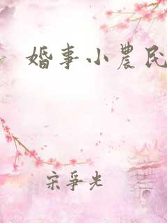 婚事小农民