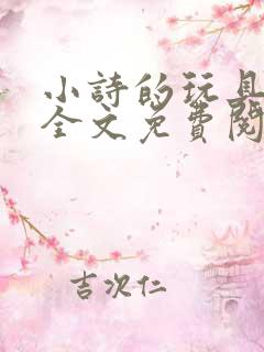 小诗的玩具日记全文免费阅读