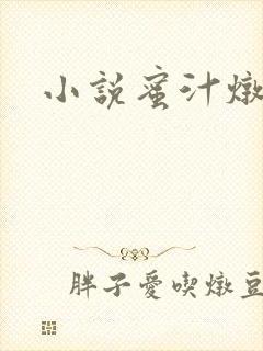 小说蜜汁炖鱿鱼