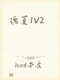 瑰夏1V2