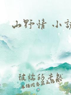 山野情 小说