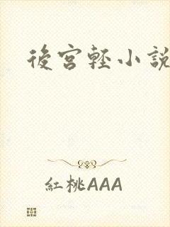 后宫轻小说