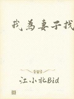 我为妻子找男妓