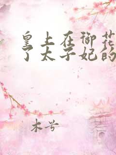 皇上在御花园c了太子妃的网剧