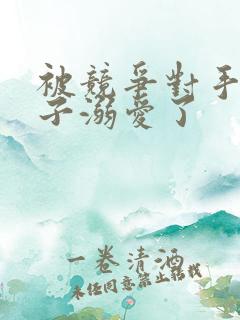 被竞争对手的王子溺爱了