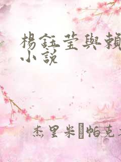 杨钰莹与赖昌星小说