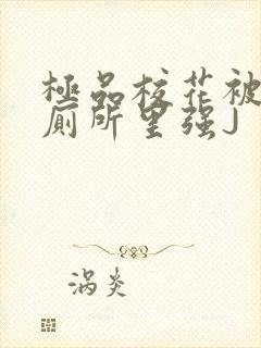 极品校花被拉到厕所里强J