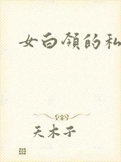 女白领的私生活