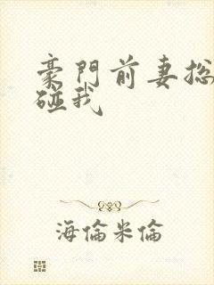 豪门前妻总裁别碰我