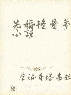 先婚后爱梦筱二小说