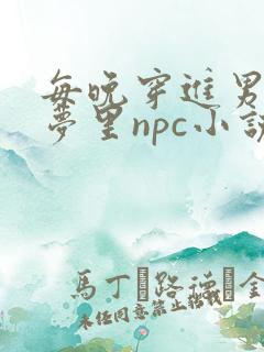 每晚穿进男神的梦里npc小说