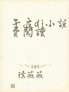 午夜dj小说免费阅读