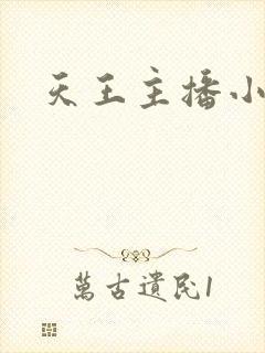 天王主播小说