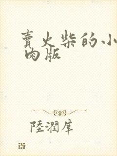 卖火柴的小男孩 肉版