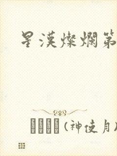 星汉灿烂第二部