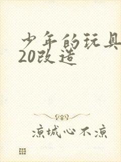 少年的玩具1一20改造