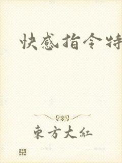 快感指令特别篇