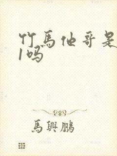 竹马他哥是1v1吗