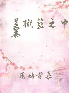 美职篮之中国风暴