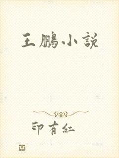 王鹏小说