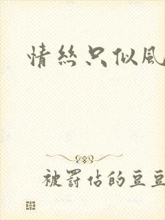 情丝只似风前絮