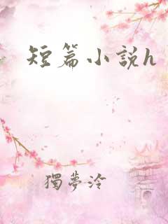 短篇小说h