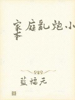 家庭乱炮小说全本