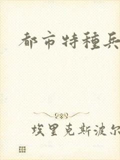 都市特种兵任天