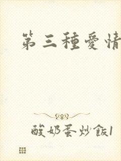 第三种爱情番外