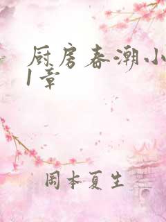 厨房春潮小说第1章